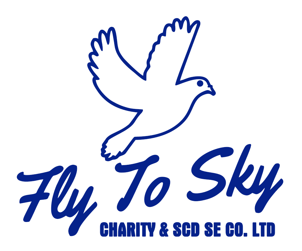Fly To Sky